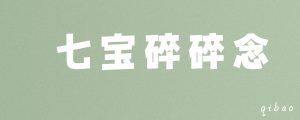 日后规划-七宝：认真做好一件事