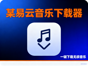 某抑云音乐下载器2025-11-29-七宝：认真做好一件事