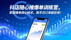 抖店随心推爆单训练营，掌握爆单核心技术，新手日订单破百单！-七宝：认真做好一件事