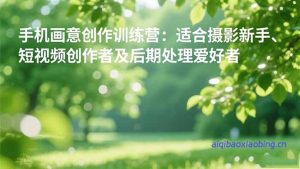 手机摄影之画意创作训练营：适合摄影新手、短视频创作者及后期处理爱好者-七宝：认真做好一件事