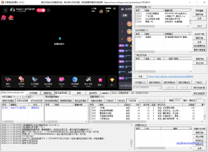 抖音全自动抢福袋软件PC版 v4.9.2-七宝：认真做好一件事
