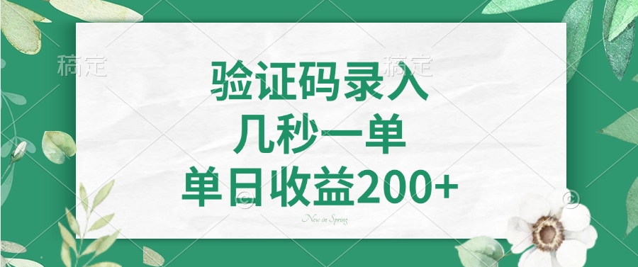 （14221期）验证码录入，几秒一单，单日收益200+-七宝：认真做好一件事