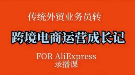跨境电商速卖通运营课，?运营方法论+后台实操，逻辑清晰-七宝：认真做好一件事