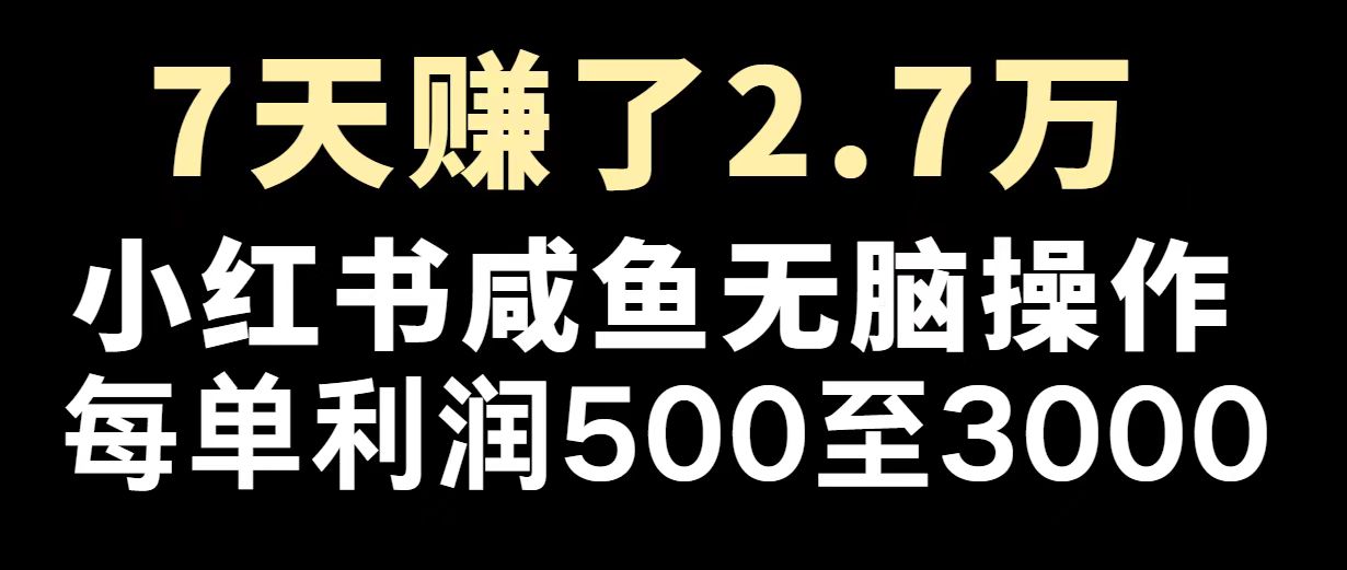 （14183期）最赚钱项目之一，2025爆火，逆风翻盘！-七宝：认真做好一件事