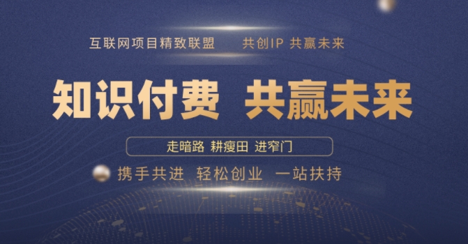 别人苦寻无果，为何他们靠知识付费卖项目 2025 年轻松年入100个?【揭秘】-七宝：认真做好一件事