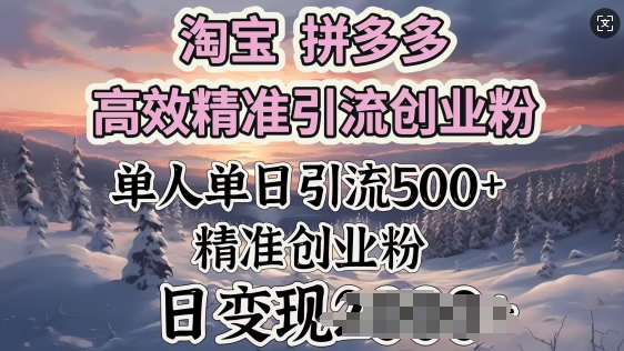 淘宝拼多多高效精准引流创业粉，单人单日引流500+创业粉，日变现多张-七宝：认真做好一件事