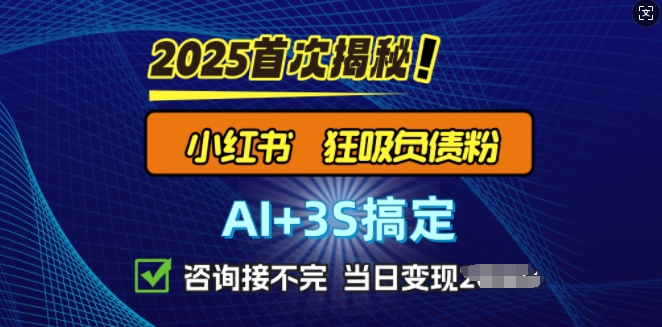 2025引流天花板：最新小红书狂暴负债粉思路，咨询接不断，当日入多张-七宝：认真做好一件事