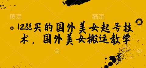 1288买的国外美女起号技术，国外美女搬运教学-七宝：认真做好一件事