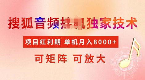 全网首发搜狐音频挂JI独家技术，项目红利期，可矩阵可放大，稳定月入8k【揭秘】-七宝：认真做好一件事