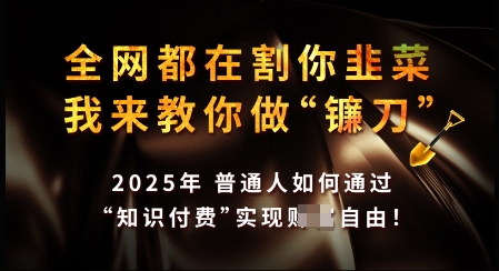 知识付费如何做到月入过W+，2025我来教你做“镰刀”【揭秘】-七宝：认真做好一件事