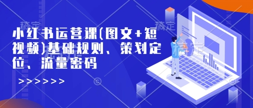 小红书运营课(图文+短视频)基础规则、策划定位、流量密码-七宝：认真做好一件事