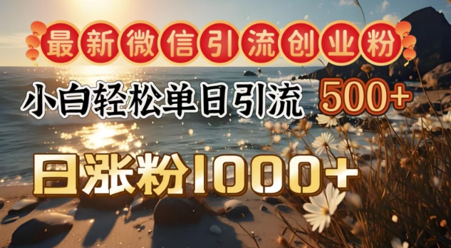 最新微信引流创业粉，小白单日轻松引流500+，日涨粉1000+-七宝：认真做好一件事