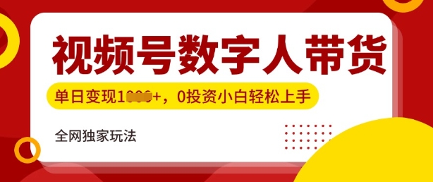 最新视频号数学人带货实操玩法，新手单日轻松多张，全程干货-七宝：认真做好一件事