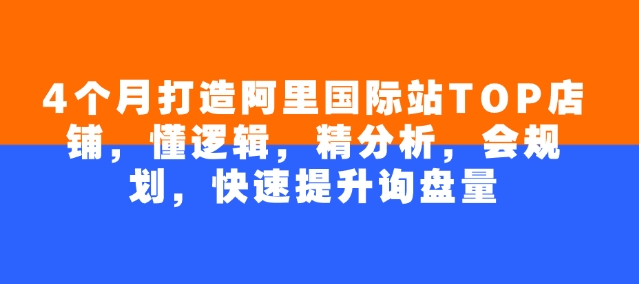 4个月打造阿里国际站TOP店铺，懂逻辑，精分析，会规划，快速提升询盘量-七宝：认真做好一件事