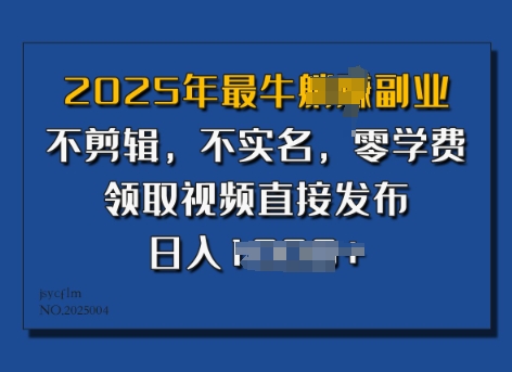 ?2025年最牛副业，不剪辑，不实名，零学费，零粉可做，领取视频直接发布，有播放就有收益-七宝：认真做好一件事