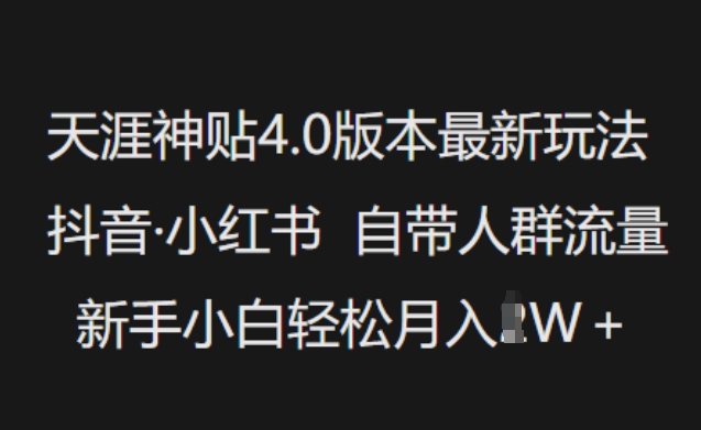 天涯神贴4.0版本最新玩法，抖音·小红书自带人群流量，新手小白轻松月入过W-七宝：认真做好一件事