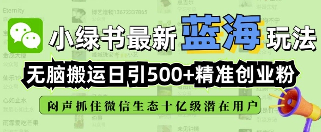 小绿书无脑搬运引流，全自动日引500精准创业粉，微信生态内又一个闷声发财的机会-七宝：认真做好一件事