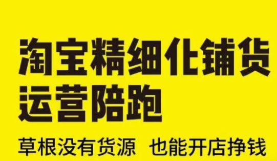 淘宝精细化铺货运营陪跑(部分更新至2025)，草根没有货源 也能开店挣钱-七宝：认真做好一件事