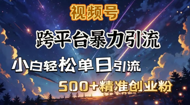 跨平台暴力引流，私域完美闭环，日引500+精准创业粉-七宝：认真做好一件事