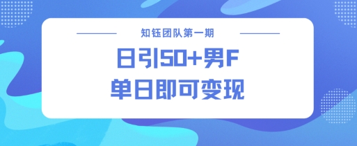男粉引流新方法不违规，当日即可变现-七宝：认真做好一件事